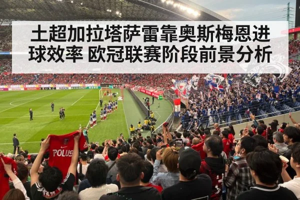 football stadium fans