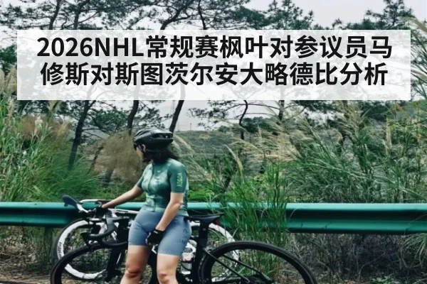 2026NHL常规赛枫叶对参议员马修斯对斯图茨尔安大略德比分析